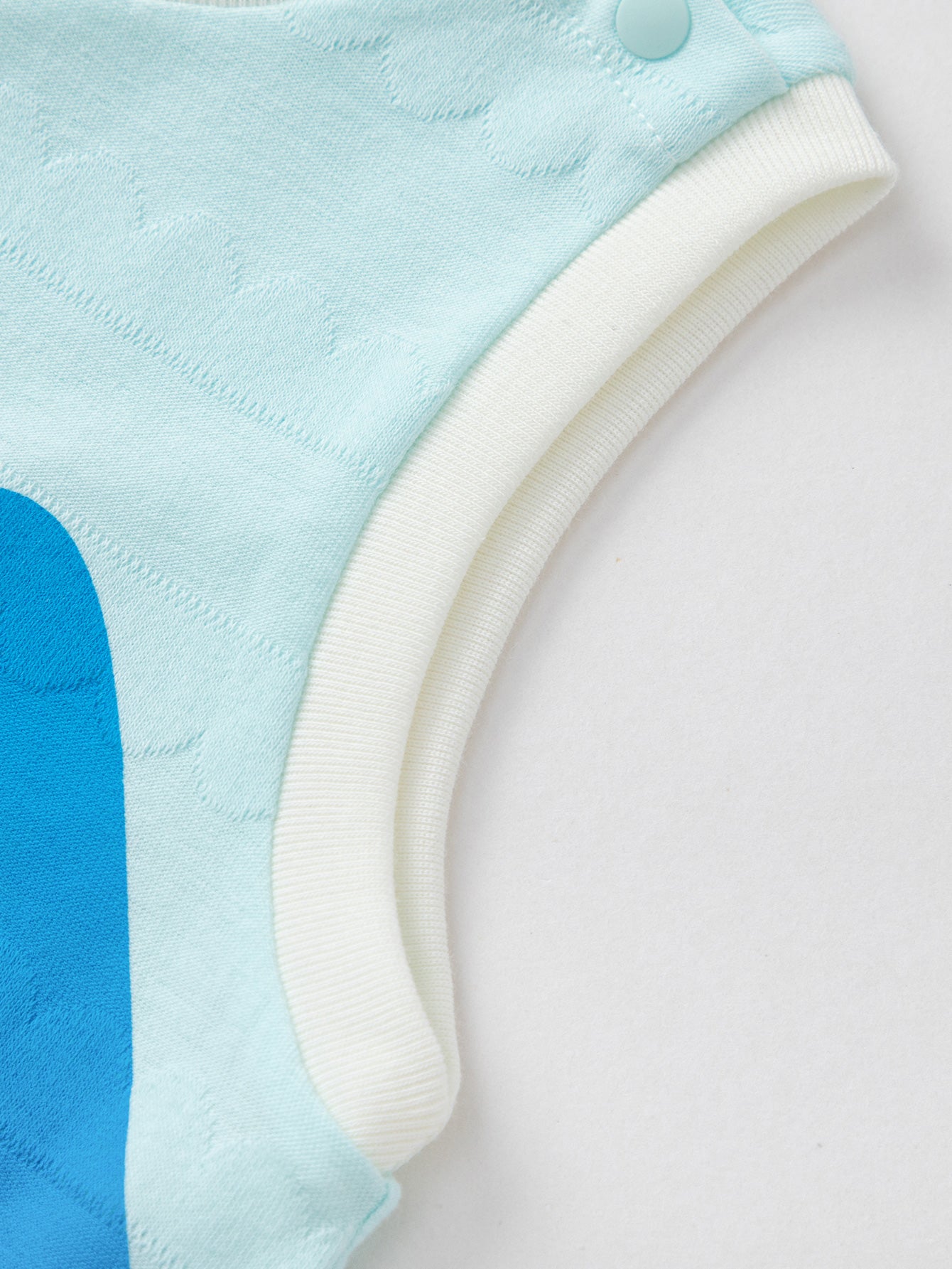 Trupore - Shark & Snack 🦈